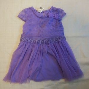 Purple Short Sleeve Dress with lace overlay